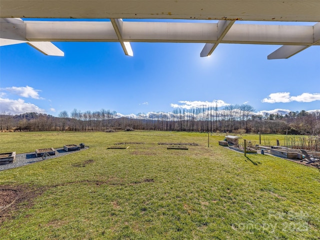 view of yard with a rural view