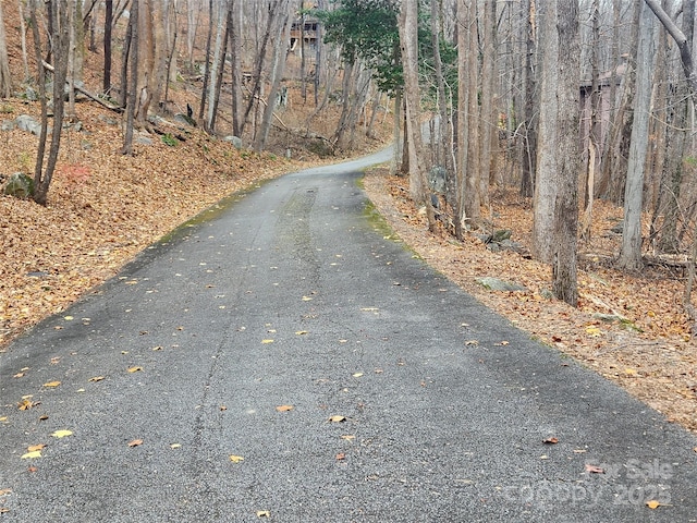 LOT197 Bald Mountain Cres, Lake Lure, NC 28746 - photo 1