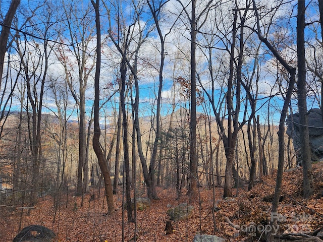 LOT197 Bald Mountain Cres, Lake Lure, NC 28746 - photo 2