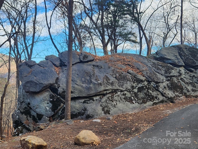 LOT197 Bald Mountain Cres, Lake Lure, NC 28746 - photo 3