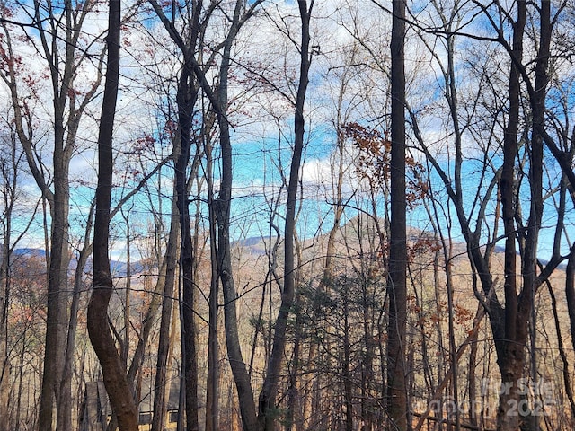LOT197 Bald Mountain Cres, Lake Lure, NC 28746 - photo 4