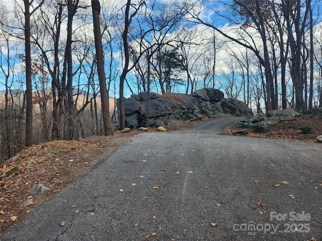 LOT197 Bald Mountain Cres, Lake Lure, NC 28746 - photo 5