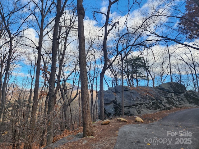 LOT197 Bald Mountain Cres, Lake Lure, NC 28746 - photo 6