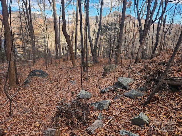 LOT197 Bald Mountain Cres, Lake Lure, NC 28746 - photo 7