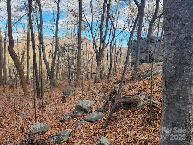 LOT197 Bald Mountain Cres, Lake Lure, NC 28746 - photo 8
