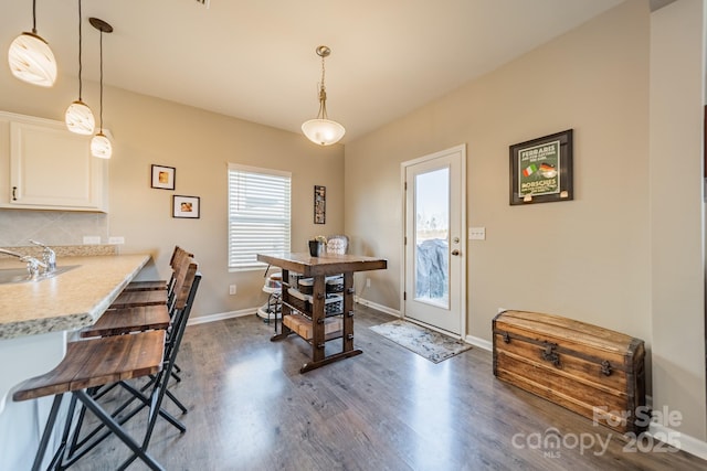 dining room featuring dark hardwood / wood-style flooring and sink