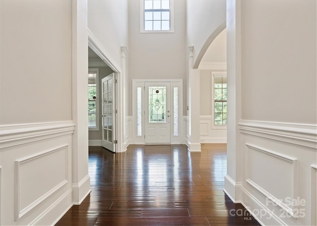 foyer entrance with dark hardwood / wood-style floors and a healthy amount of sunlight