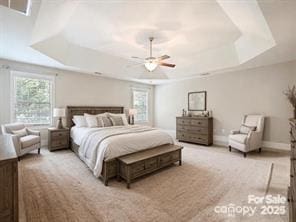 bedroom with a raised ceiling and ceiling fan