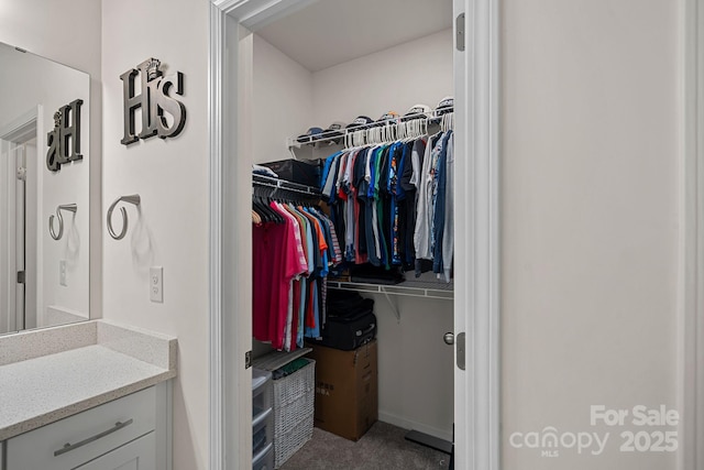 walk in closet featuring carpet floors