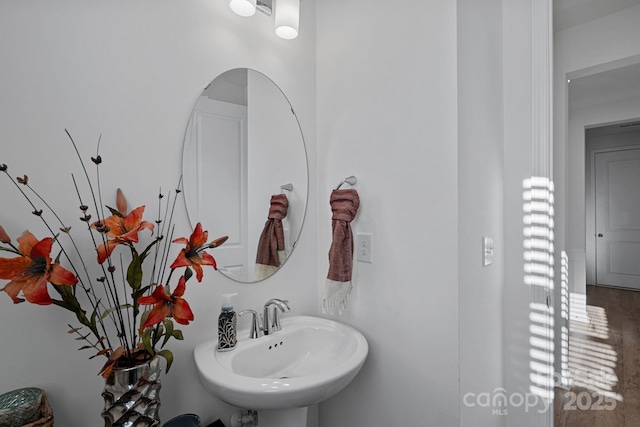 bathroom with a sink and wood finished floors