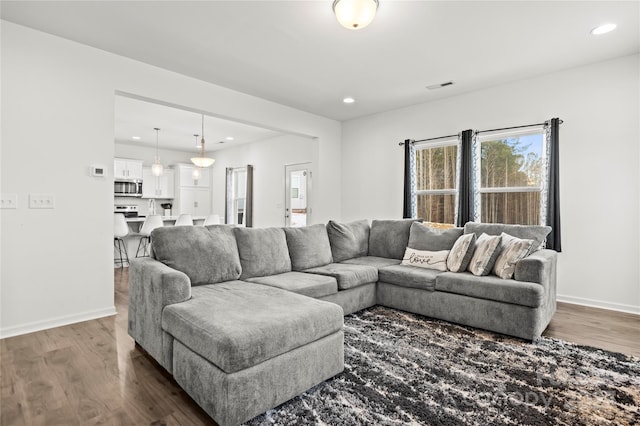 living room with wood-type flooring