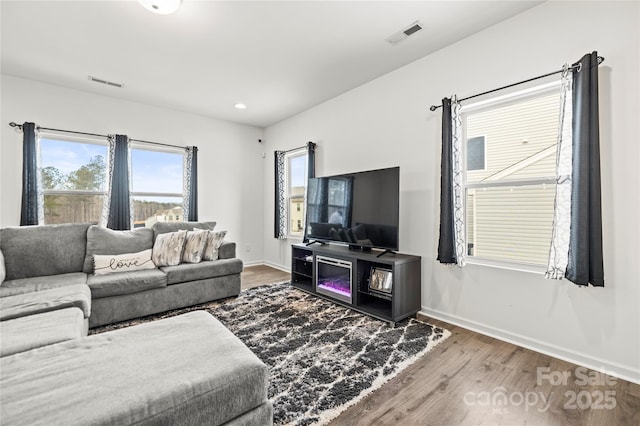 living room with wood-type flooring