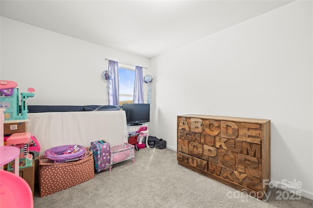 recreation room featuring carpet