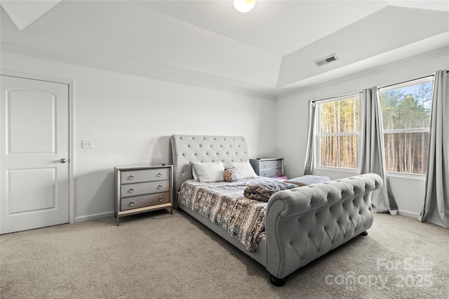 bedroom featuring a raised ceiling and carpet flooring