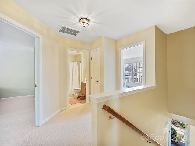 hallway with light carpet