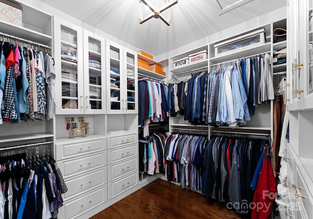 walk in closet featuring dark wood-type flooring