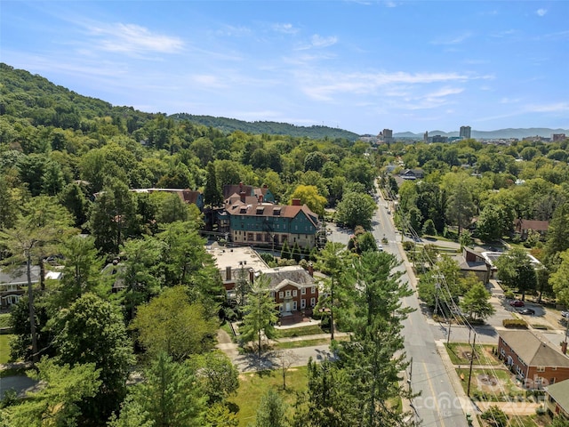 1 Sunset Pkwy Unit A, Asheville, NC 28801 - photo 41
