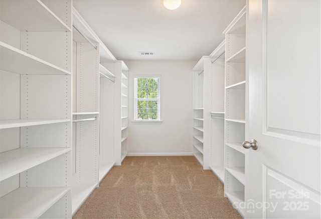 spacious closet with light colored carpet