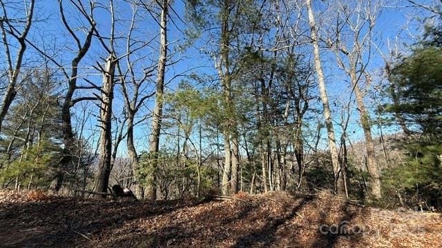 0 Bird Dog Blvd, Lake Lure NC, 28746 land for sale