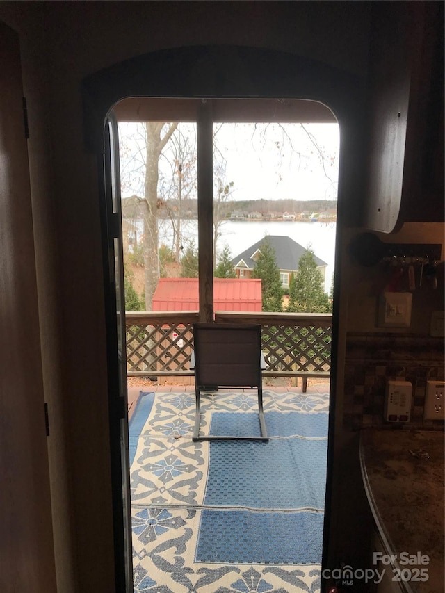 entryway featuring a wealth of natural light