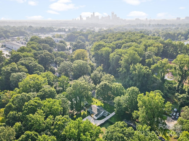 bird's eye view