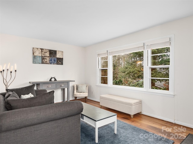 living room with plenty of natural light and hardwood / wood-style flooring