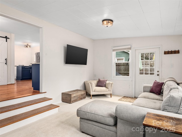 living room with carpet flooring and a barn door