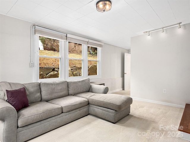 living room with light carpet and track lighting