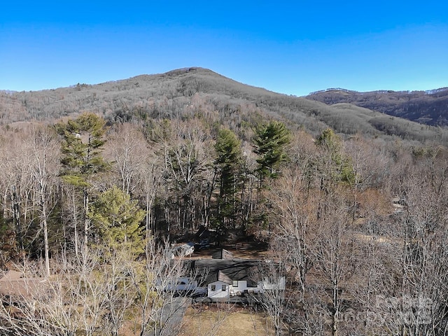 mountain view with a wooded view