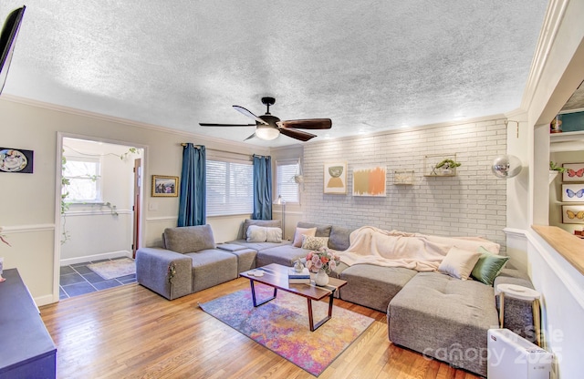 living room with crown molding, a textured ceiling, and wood finished floors