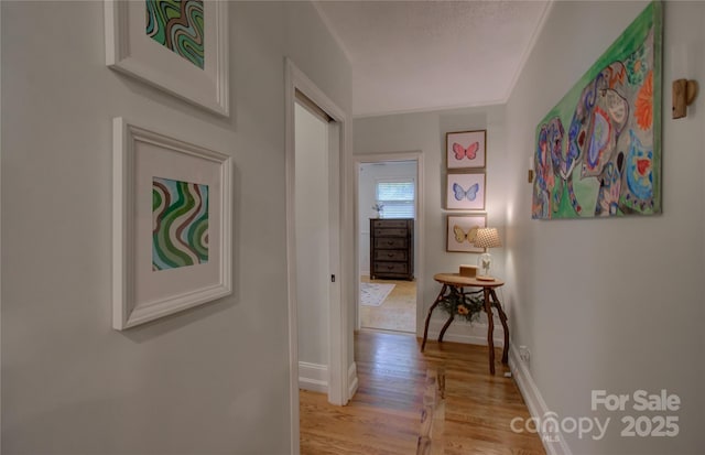 6 Candor Dr, Fletcher, NC 28732 - corridor with light wood-type flooring and baseboards