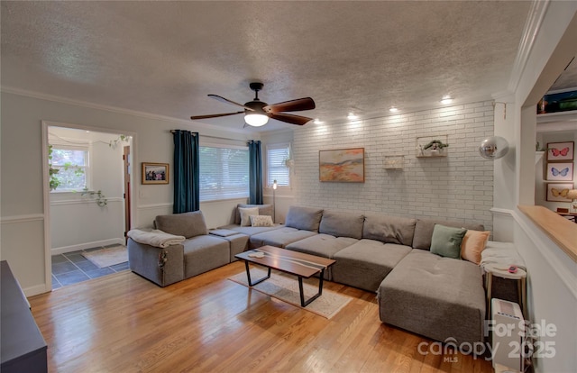 6 Candor Dr, Fletcher, NC 28732 - living area with a textured ceiling, brick wall, a ceiling fan, crown molding, and light wood-style flooring