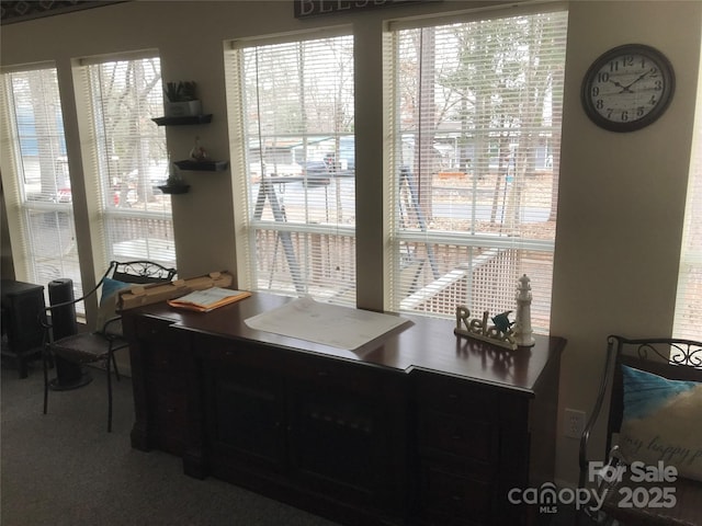 135/137 Indian Harbor Trl Unit E16/17, Mount Gilead, NC 27306 - office space featuring carpet floors