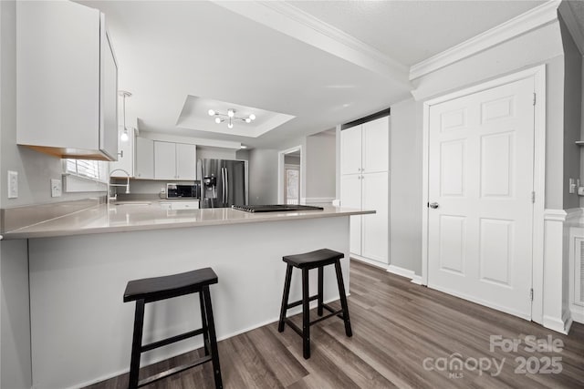 kitchen featuring a tray ceiling, a peninsula, dark wood-style floors, stainless steel appliances, and a sink