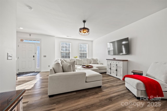 living room featuring dark wood-type flooring