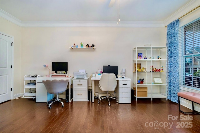 office with dark wood-type flooring and crown molding