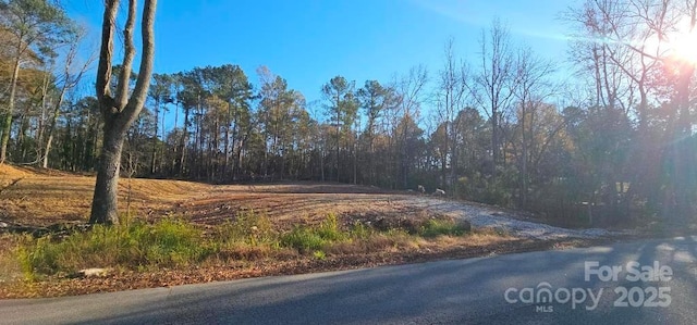 839 Allendale Cir, Rock Hill, SC 29732 - photo 4