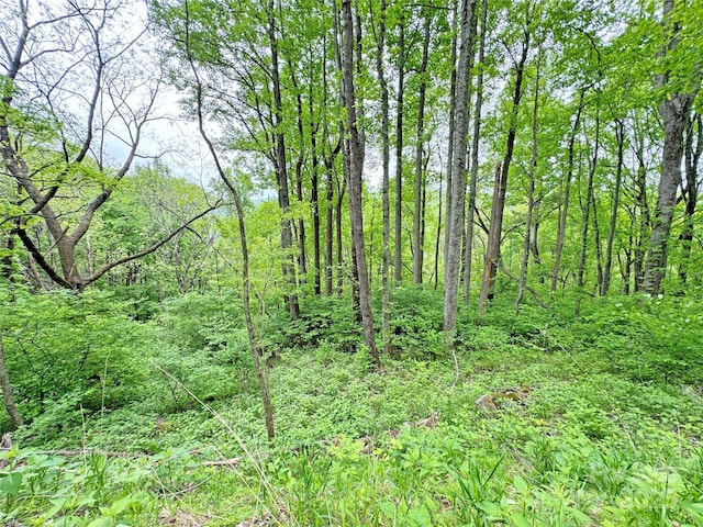 Listing photo 3 for TBD Caldwell Mountain Rd, Hot Springs NC 28743