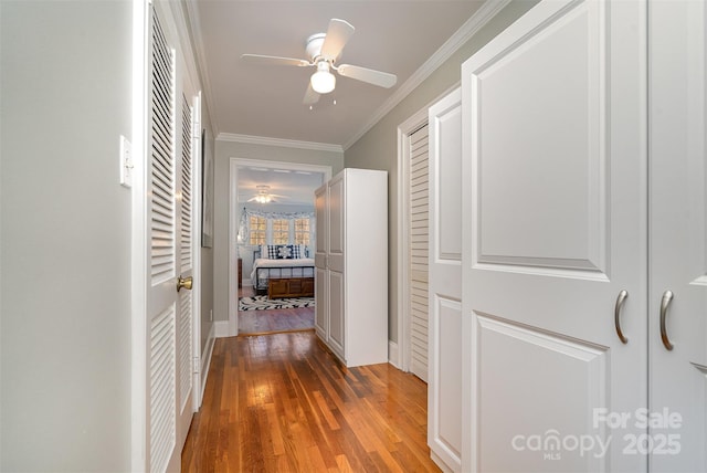 hall with crown molding and wood-type flooring