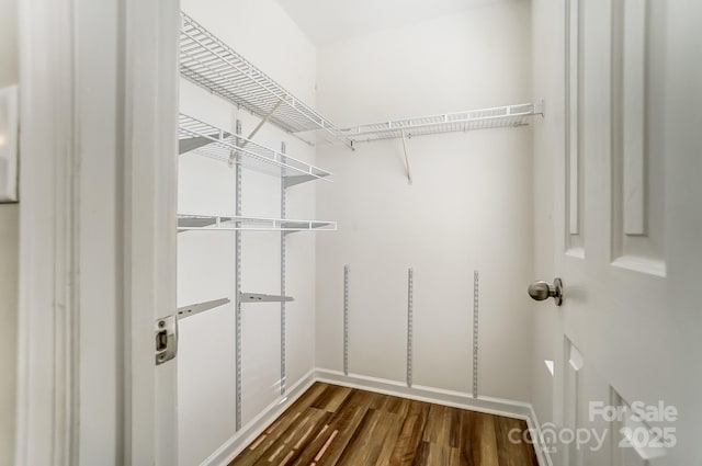 spacious closet featuring hardwood / wood-style flooring