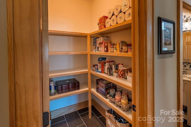 view of pantry