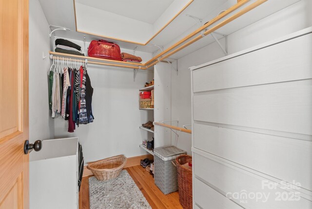 walk in closet featuring hardwood / wood-style flooring