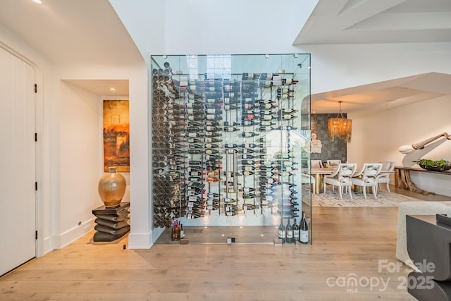 wine area with wood-type flooring