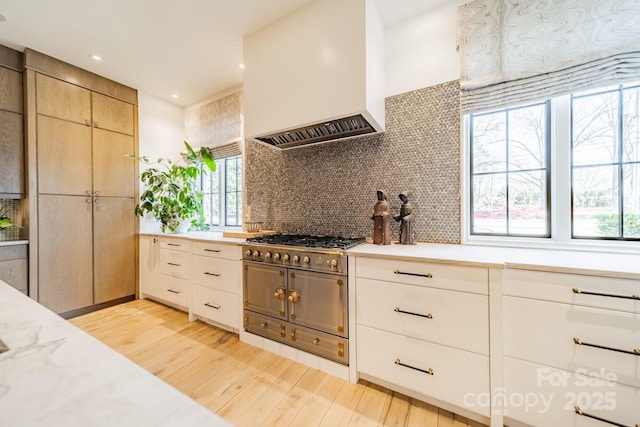 kitchen featuring decorative backsplash, light hardwood / wood-style flooring, custom range hood, and a wealth of natural light