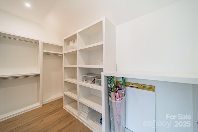 spacious closet featuring wood-type flooring