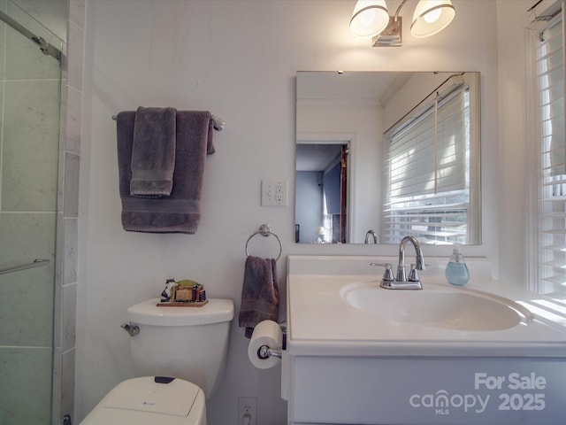 bathroom with vanity, toilet, and walk in shower