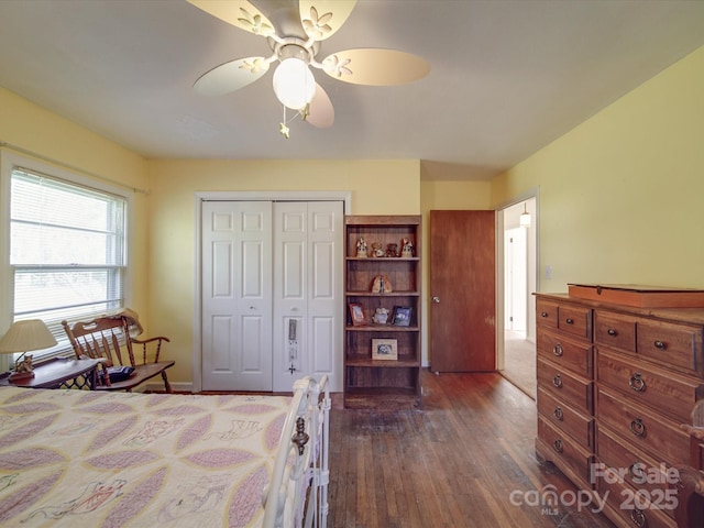 bedroom featuring ceiling fan, dark wood-type flooring, and a closet