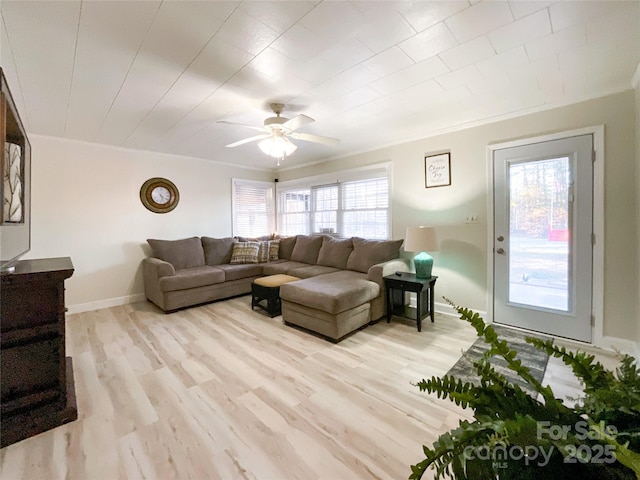 living room featuring ceiling fan, crown molding, a wealth of natural light, and light hardwood / wood-style flooring