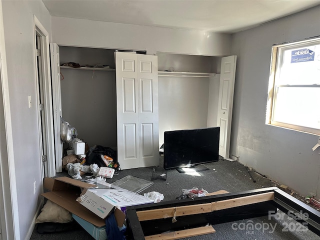 bedroom featuring multiple closets