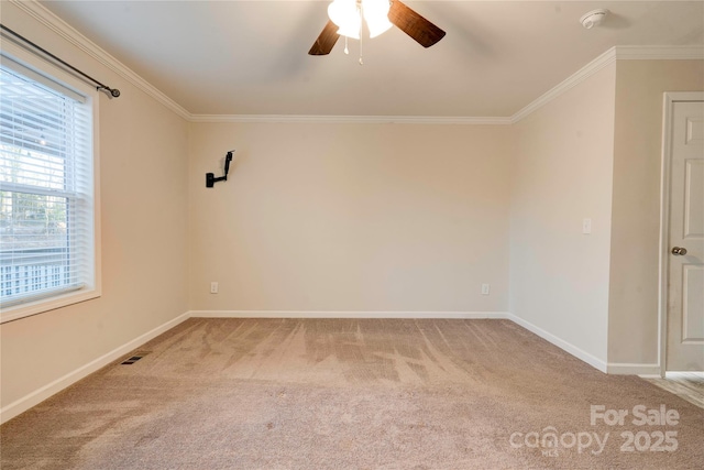 carpeted spare room with ceiling fan and ornamental molding